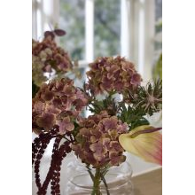 New artificial flowers_Sostrene Grene_Available from 31 July 2025 (4).jpg